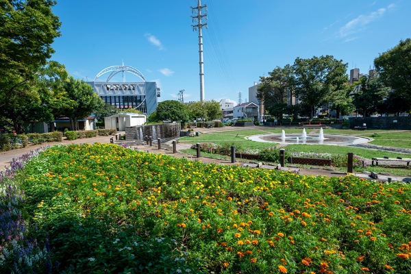 天沼弁天池公園